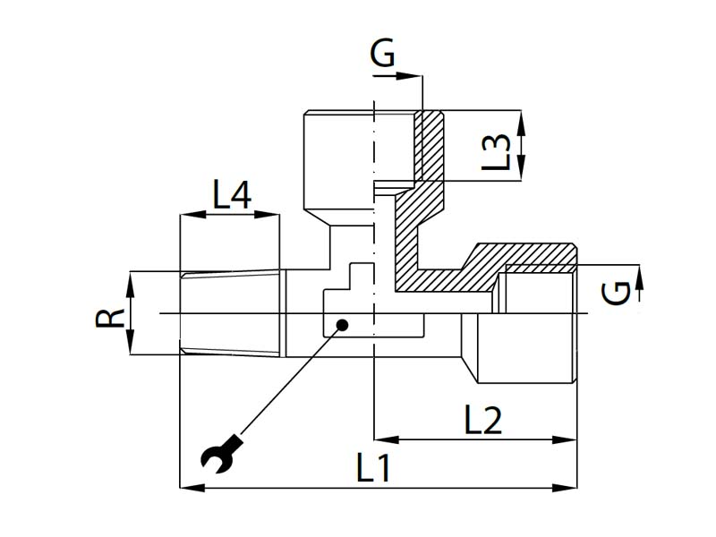 TAIN-W- zlaczeT-RQS-RECTUSschemat