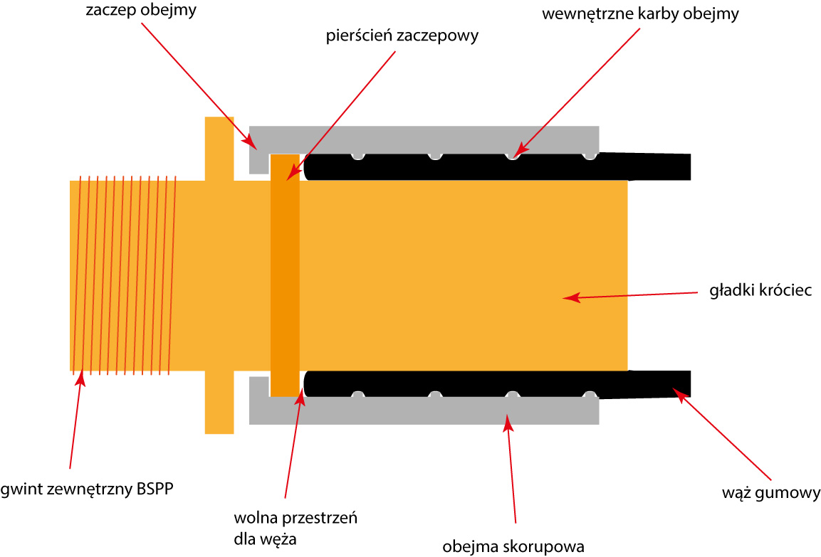 schemat-dzialania-obejma-skorupowa