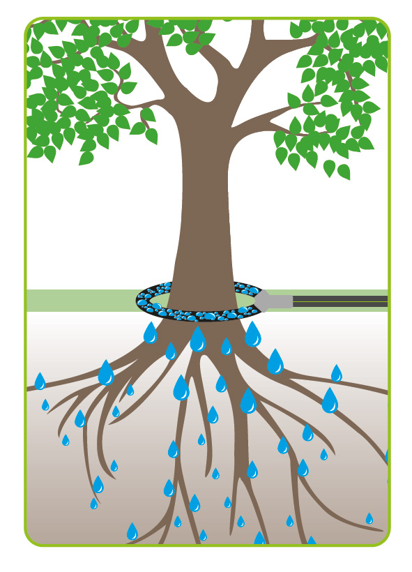 geka-plus-pushfit-irrygacja-drzew-schemat-17-0010