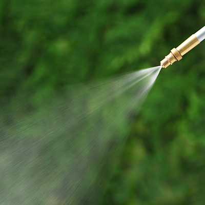 strumien-glowka-lanca-50-4892