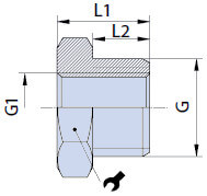 redukcja-krotka-gwint-zewnetrzny-wewnetrzny-bspp-bspp-typ-rk-rys