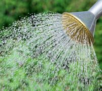 Głowica Nawadniająca - do 10 litrowych Konewek -GEKA normal shower - z Aluminium i Mosiądzu - KARASTO