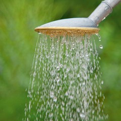 Głowica - GEKA Spoon Shower - do konweki 2,5 l lub 4,5 l - z Aluminium i Mosiądzu - KARASTO