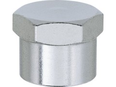 Zaślepki z Wewnętrznym Gwintem Walcowym - Typ VE - LUDECKE